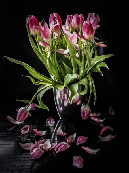 Dr. Helmut Oberritter "Tulpen" Annahme