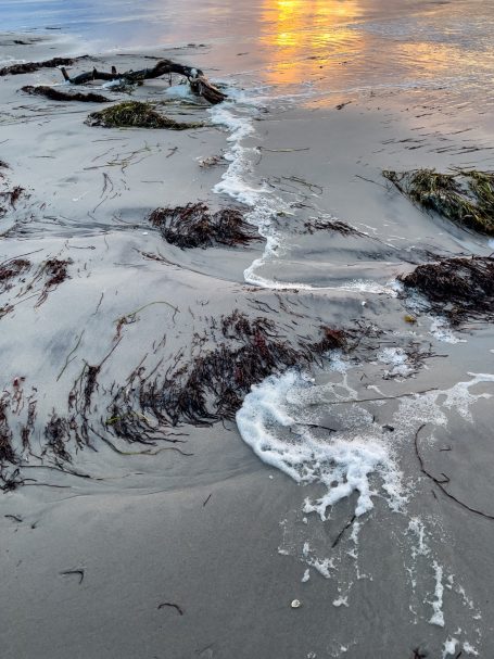 Sandstrand mit Algen und sanften Wellen, reflektierendes Licht am Wasser.