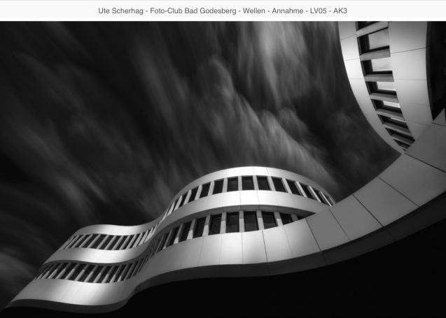 Modern Architektur mit geschwungenen Linien und starkem Kontrast in Schwarz-Weiß.