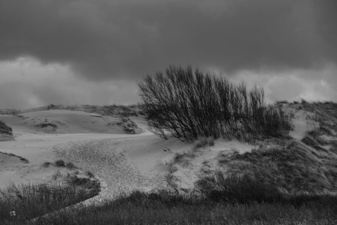 Amrum