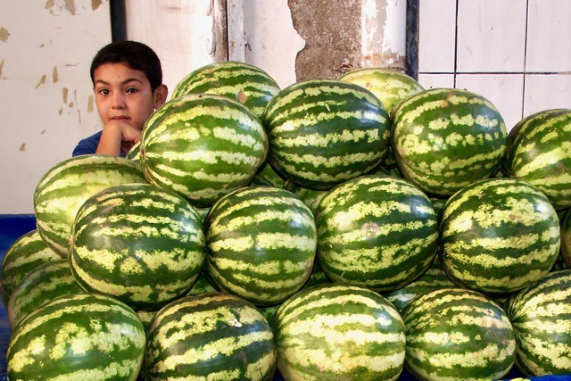 Junge in Ostanatolien Ein Junge sitzt hinter einem Stapel von grünen Wassermelonen.