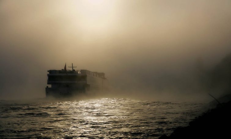  Nebel am Rhein 2