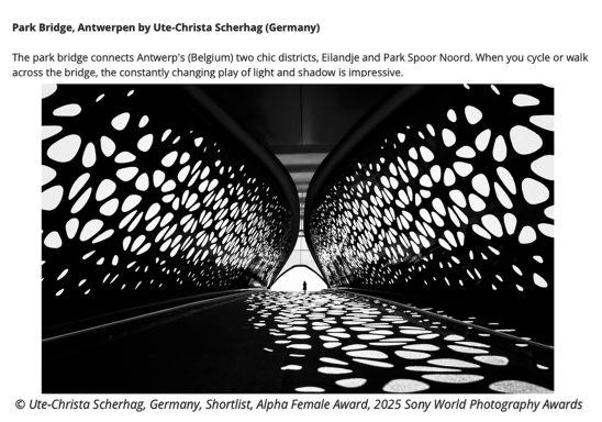 Moderne Fußgängerbrücke mit innovativem, strukturiertem Design und Lichtspiel.